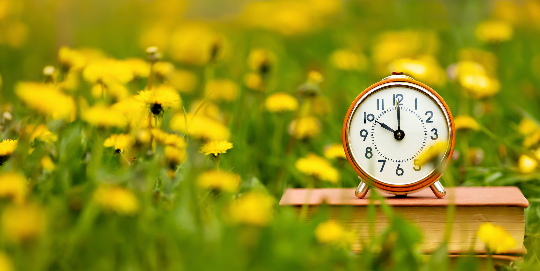 Reminder: Daylight Saving Time Begins Sunday, March 8, 2026